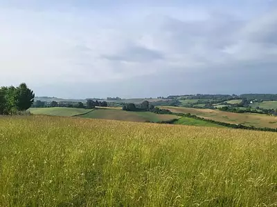 Terrain, 3 000 m²