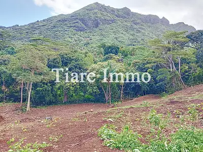 Terrain, 1 600 m²