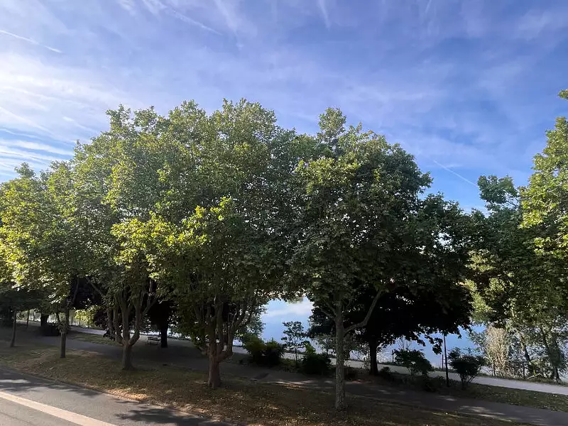 Appartement, 38,85 m²