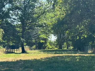 Terrain, 2 180 m²