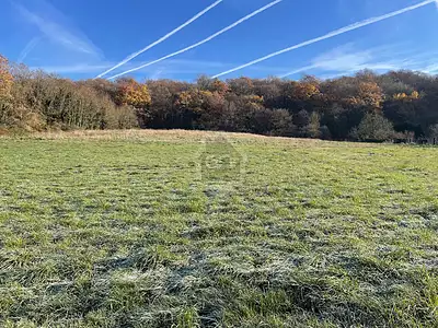 Terrain, 731 m²
