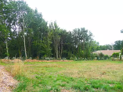 Terrain, 650 m²