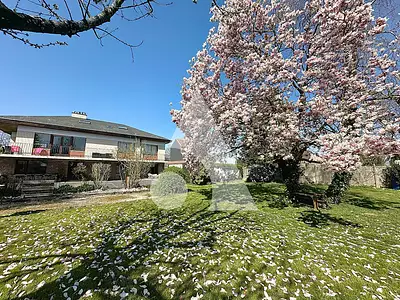 Maison, 215 m²