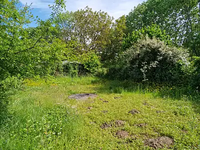 Maison, 74 m²
