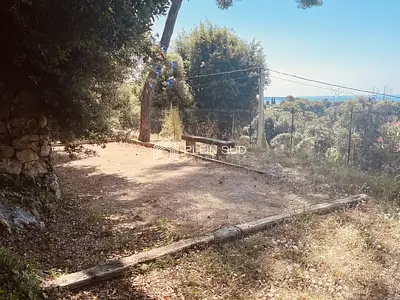 Maison, 280 m²
