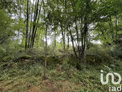 Terrain, 1 195 m²