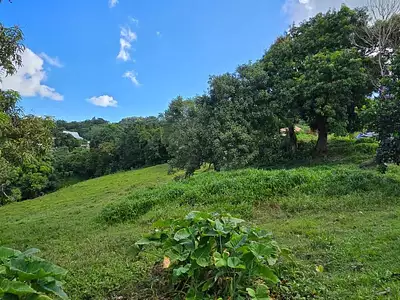 Terrain, 1 333 m²