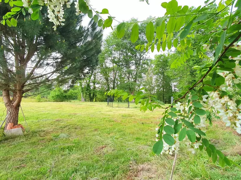 Terrain, 2 390 m²