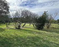 Terrain, 1 150 m²