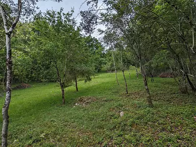 Maison, 258,57 m²