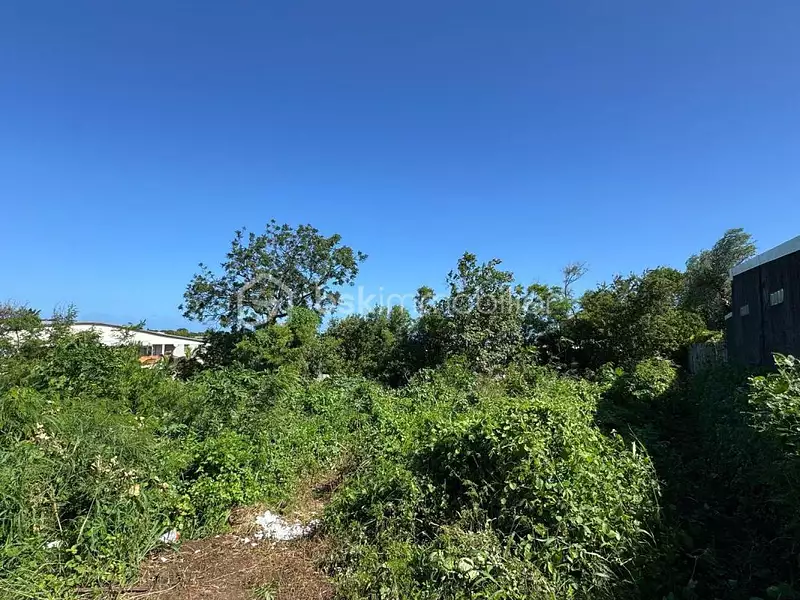 Terrain, 709 m²