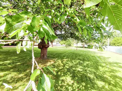 Maison, 201 m²