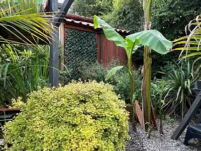 Maison, 97 m²