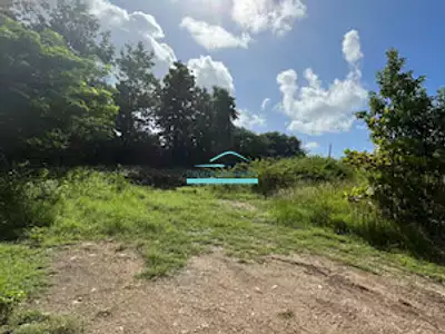Terrain, 1 288 m²