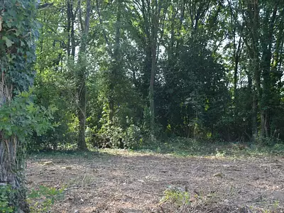 Terrain, 1 205 m²