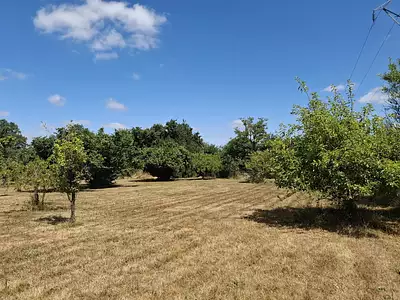 Maison, 200 m²