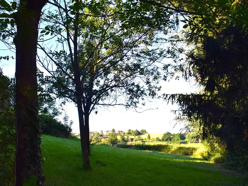 Terrain, 1 245 m²