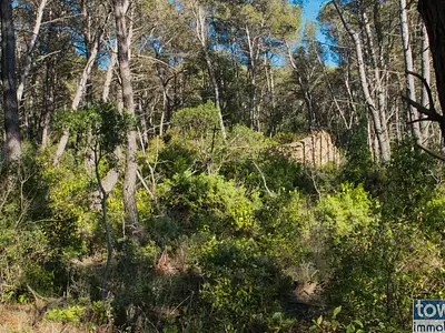 Terrain, 42 302 m²