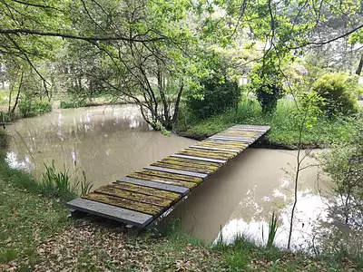 Terrain, 100 000 m²