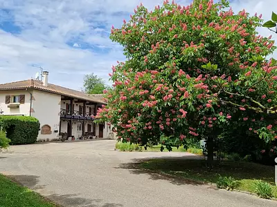 Maison, 262 m²