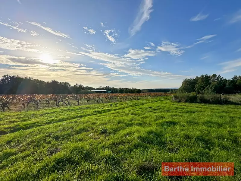 Terrain, 10 076 m²