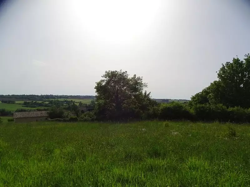 Terrain, 1 250 m²
