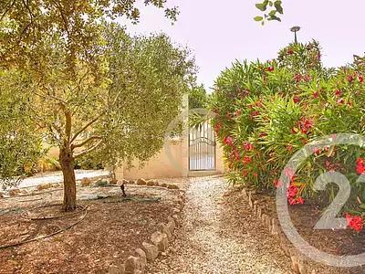 Maison, 285,44 m²