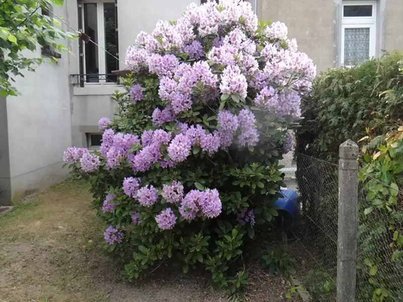 Maison, 57 m²