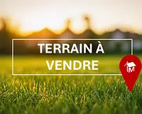 Terrain