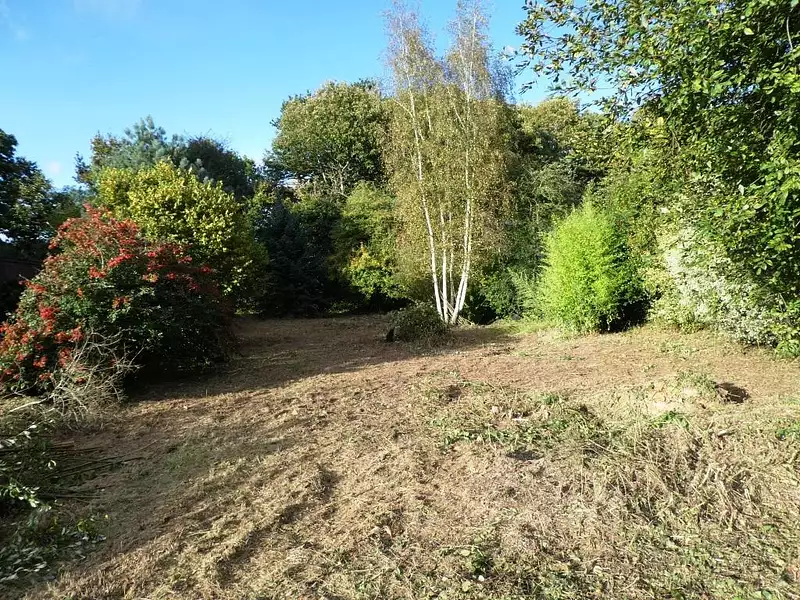 Terrain, 587 m²