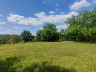 Terrain, 8 740 m²