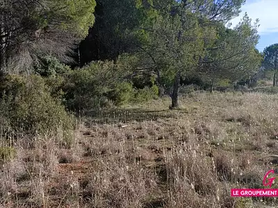 Terrain, 5 224 m²