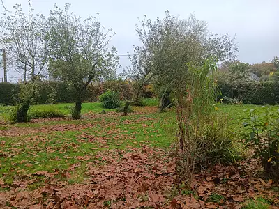 Terrain, 905 m²