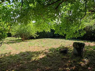 Terrain, 1 000 m²