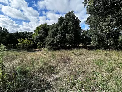 Terrain, 1 200 m²
