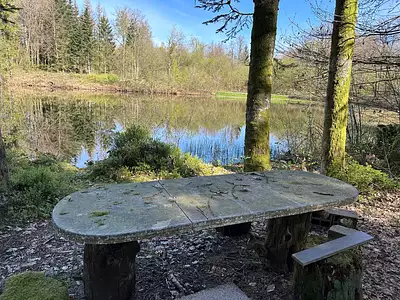 Terrain, 17 892 m²