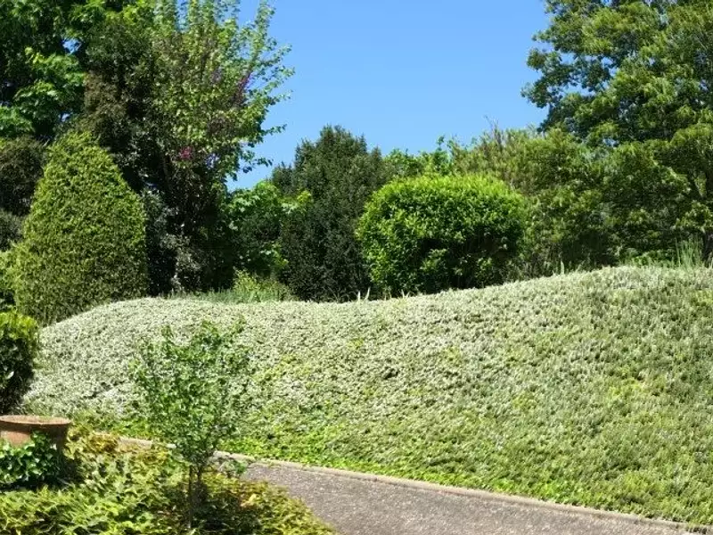 Maison, 124 m²
