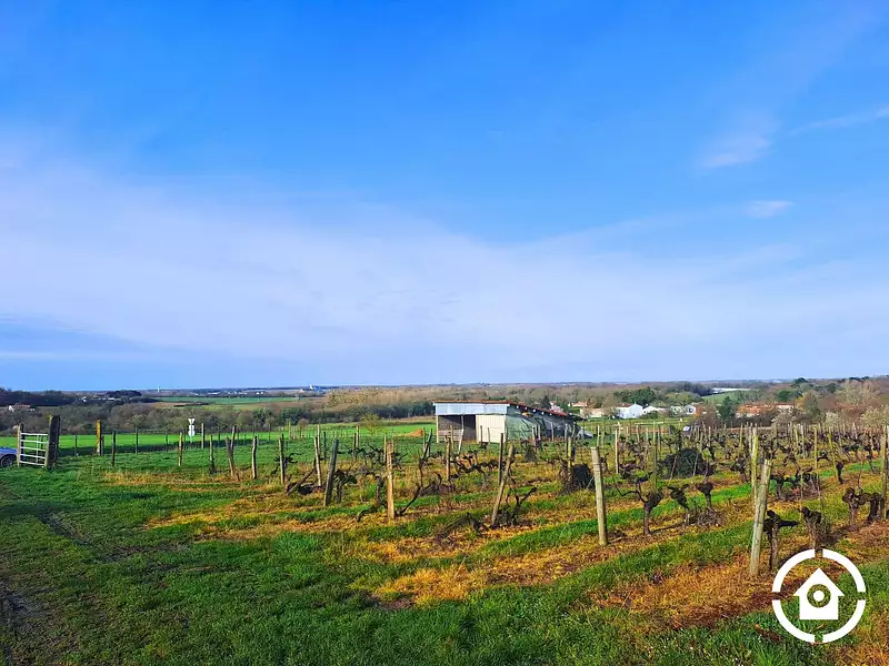 Terrain, 1 441 m²