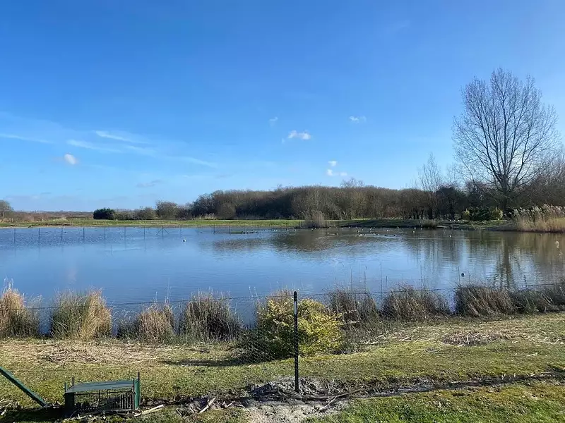 Terrain, 1,6 m²