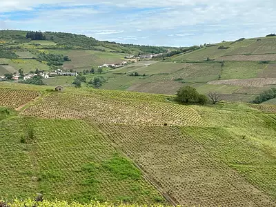 Terrain, 13 900 m²