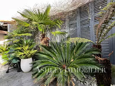 Maison, 368 m²