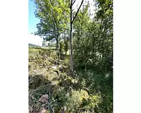 Terrain, 665 m²