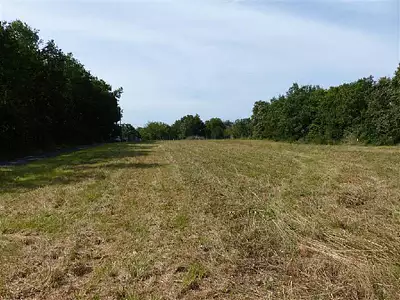 Terrain, 1 365 m²