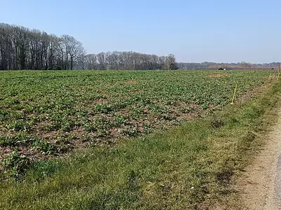Terrain, 659 m²
