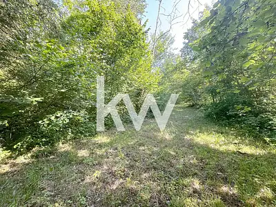 Terrain, 3 808 m²