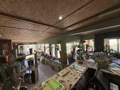Immeuble, 480 m²