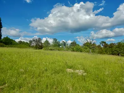 Terrain, 1 500 m²