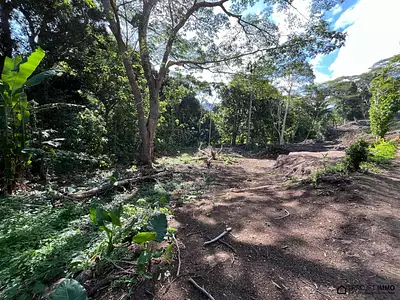 Terrain, 1 136 m²