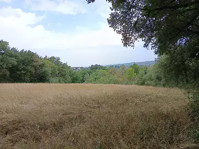 Terrain, 33 821 m²