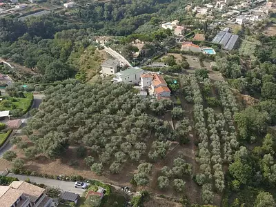 Terrain, 16 000 m²